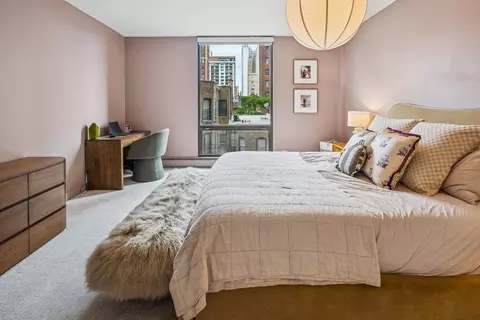100 E Bellevue Pl #5E, Chicago, IL 60611 photo 15