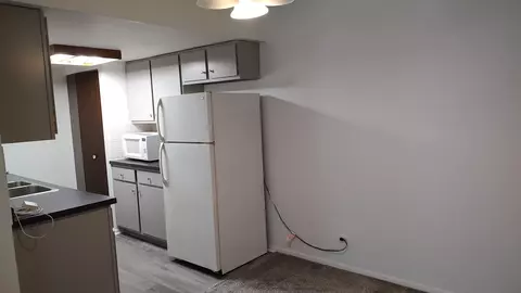 835 Pearson St #108, Des Plaines, IL 60016 photo 3