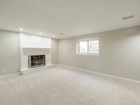 978 Sycamore Ln, Bartlett, IL 60103 photo 13