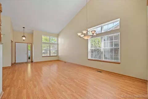 14037 S Tamarack Dr, Plainfield, IL 60544 photo 4