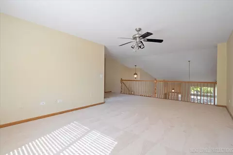 14037 S Tamarack Dr, Plainfield, IL 60544 photo 19