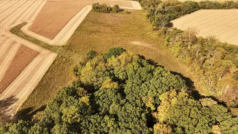 701 E 1175 St, Henry, IL 61537 photo 8