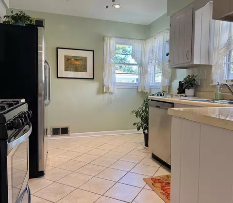 Kitchen - 1440 S 4th Ave, Des Plaines, IL 60018 photo 4 of 5