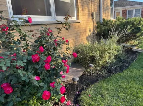 Exterior - 1440 S 4th Ave, Des Plaines, IL 60018 photo 7 of 11