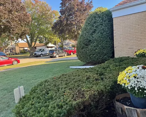Exterior - 1440 S 4th Ave, Des Plaines, IL 60018 photo 8 of 11