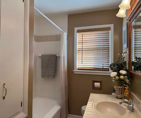 Bath - 1440 S 4th Ave, Des Plaines, IL 60018 photo 3 of 4