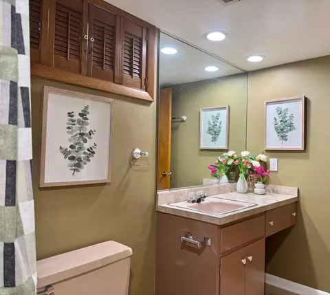 Bath - 1440 S 4th Ave, Des Plaines, IL 60018 photo 2 of 4