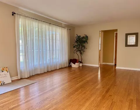 Living - 1440 S 4th Ave, Des Plaines, IL 60018 photo 1 of 5