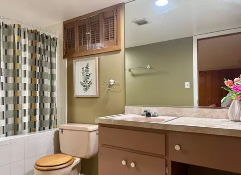 Bath - 1440 S 4th Ave, Des Plaines, IL 60018 photo 1 of 4