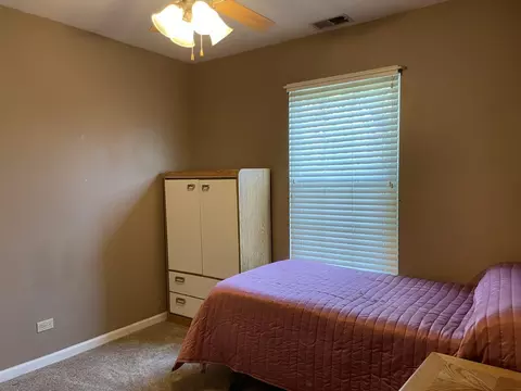 2043 Peach Tree Ln, Algonquin, IL 60102 photo 14
