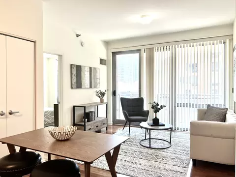 Living - 1 E 8th St #307, Chicago, IL 60605 photo 2 of 4