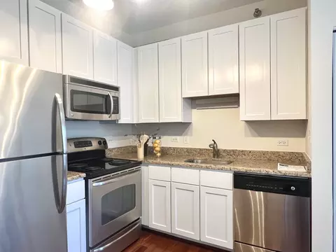 Kitchen - 1 E 8th St #307, Chicago, IL 60605 photo 5 of 6