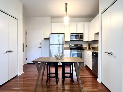 Kitchen - 1 E 8th St #307, Chicago, IL 60605 photo 2 of 6