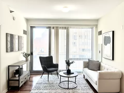 Living - 1 E 8th St #307, Chicago, IL 60605 photo 1 of 4