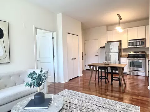 Kitchen - 1 E 8th St #307, Chicago, IL 60605 photo 3 of 6