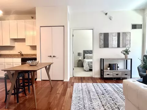 Other - 1 E 8th St #307, Chicago, IL 60605 photo 1 of 4