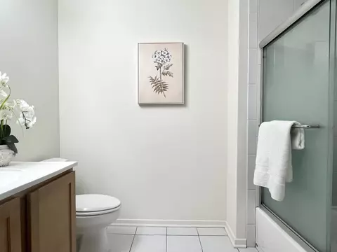Bath - 1 E 8th St #307, Chicago, IL 60605 photo 3 of 3