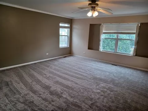 24333 Leski Ln, Plainfield, IL 60585 photo 8