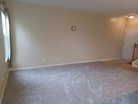 24333 Leski Ln, Plainfield, IL 60585 photo 5