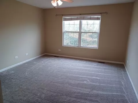 24333 Leski Ln, Plainfield, IL 60585 photo 11