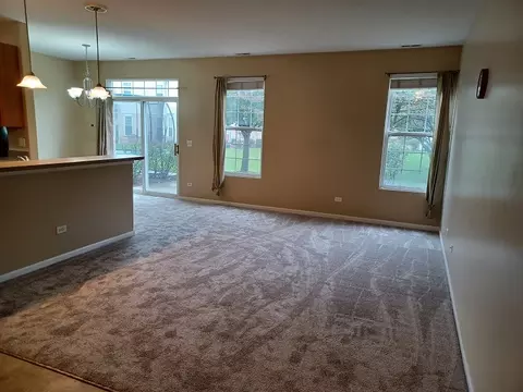 24333 Leski Ln, Plainfield, IL 60585 photo 2
