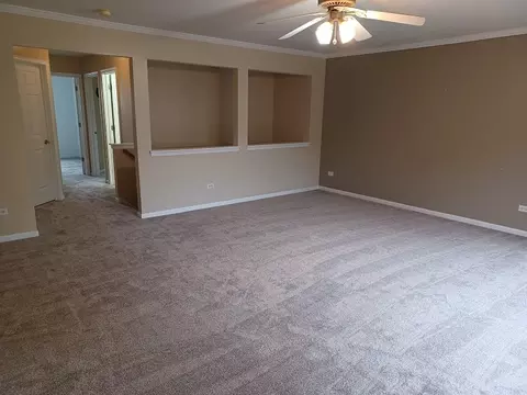 24333 Leski Ln, Plainfield, IL 60585 photo 9