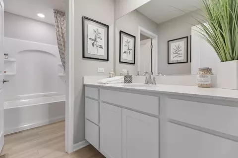 Bath - 16052 S Longcommon Ln, Plainfield, IL 60586 photo 4 of 4