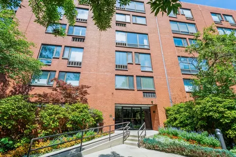 1115 S Plymouth Ct #124, Chicago, IL 60605