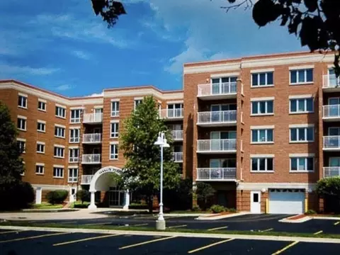 4655 N Cumberland Ave #502, Norridge, IL 60706