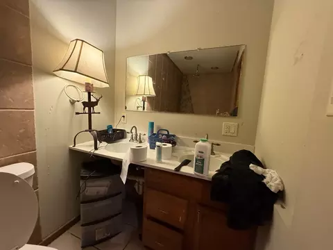 Bath - 1021 Briarcliff Dr, Rantoul, IL 61866 photo 5 of 5