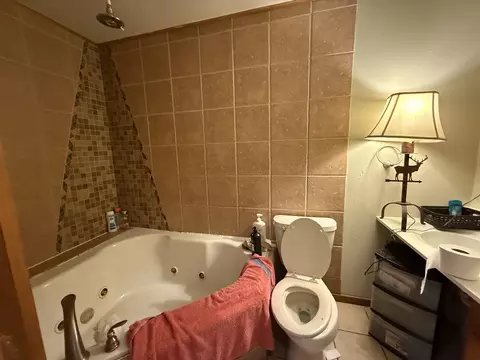 Bath - 1021 Briarcliff Dr, Rantoul, IL 61866 photo 3 of 5