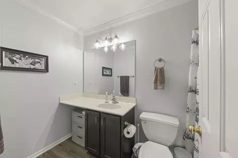 Bath - 7425 Rosewind Dr, Plainfield, IL 60586 photo 2 of 2