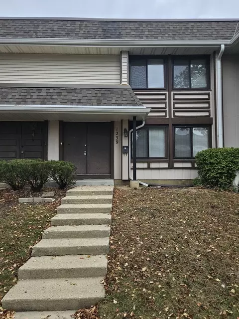 1239 San Simeon Dr, Hanover Park, IL 60133