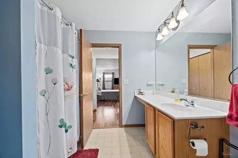 25326 Declaration Dr, Plainfield, IL 60544 photo 23