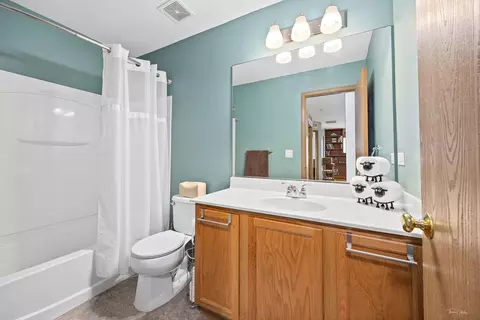 25326 Declaration Dr, Plainfield, IL 60544 photo 19