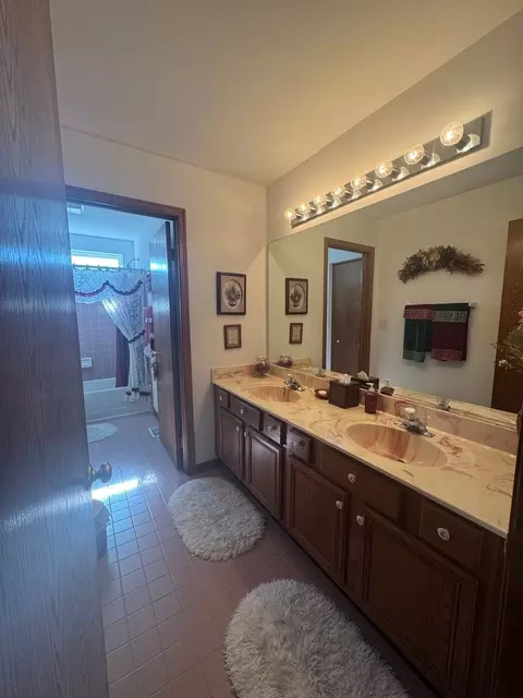 Bath - 16062 S Lexington Dr, Plainfield, IL 60586 photo 3 of 5