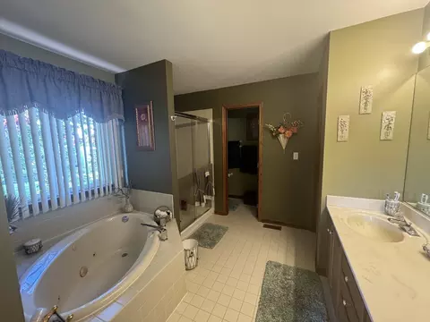 Bath - 16062 S Lexington Dr, Plainfield, IL 60586 photo 1 of 5