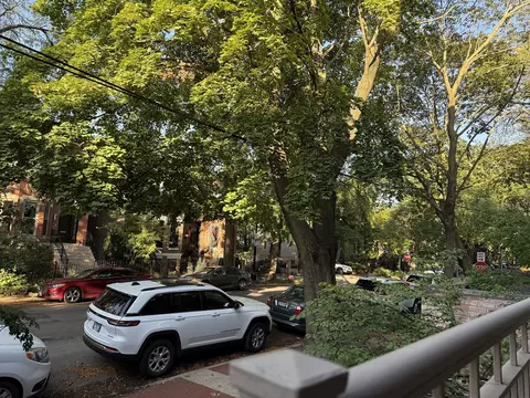 Exterior - 907-909 W Webster Ave, Chicago, IL 60614 photo 5 of 19