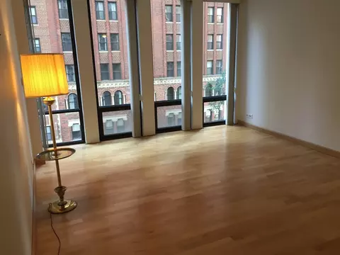 Living - 200 E Delaware Pl #5D, Chicago, IL 60611 photo 4 of 7