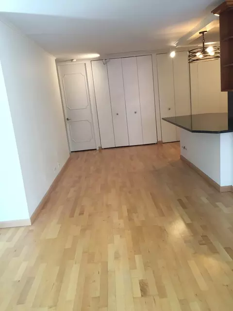 Living - 200 E Delaware Pl #5D, Chicago, IL 60611 photo 2 of 7