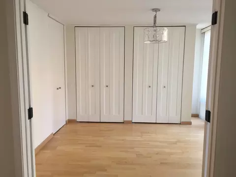 Other - 200 E Delaware Pl #5D, Chicago, IL 60611 photo 6 of 11