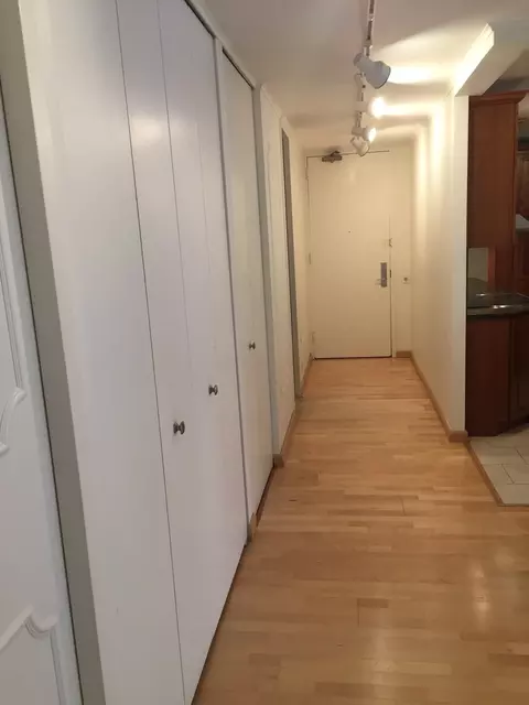 Other - 200 E Delaware Pl #5D, Chicago, IL 60611 photo 4 of 11