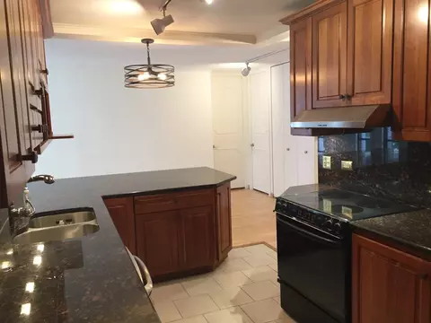 Kitchen - 200 E Delaware Pl #5D, Chicago, IL 60611 photo 3 of 4
