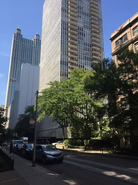 Other - 200 E Delaware Pl #5D, Chicago, IL 60611 photo 1 of 11