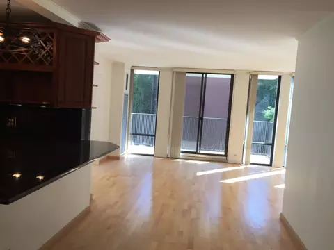 Living - 200 E Delaware Pl #5D, Chicago, IL 60611 photo 1 of 7