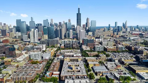 Undisclosed, Chicago, IL 60607 photo 29