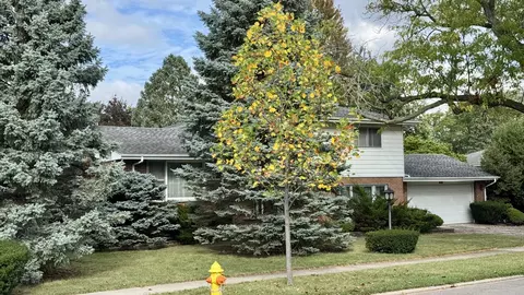Other - 900 E Golfview Dr, Mount Prospect, IL 60056 photo 1 of 1