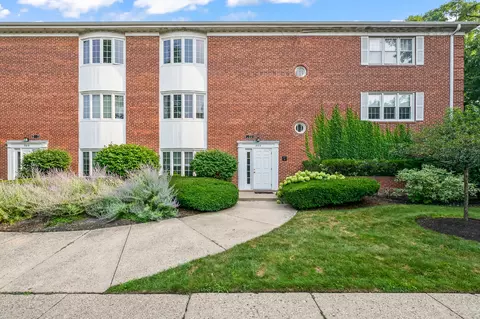 909 Greenwood St #1C, Evanston, IL 60201