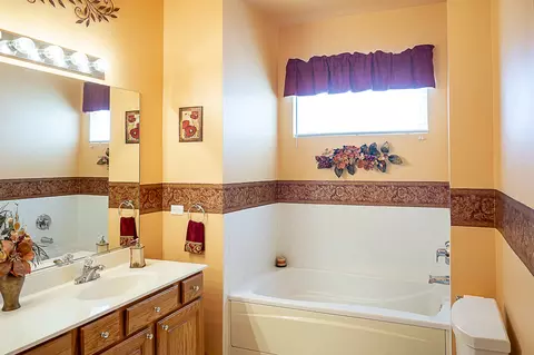 Bath - 21056 W Aspen Ln, Plainfield, IL 60544 photo 2 of 3