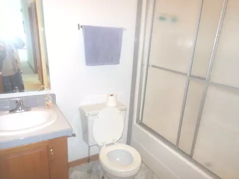 65 Crocus Ln, Matteson, IL 60443 photo 10